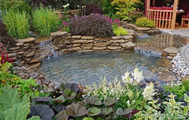 kak-sdelat-prud-na-uchastke