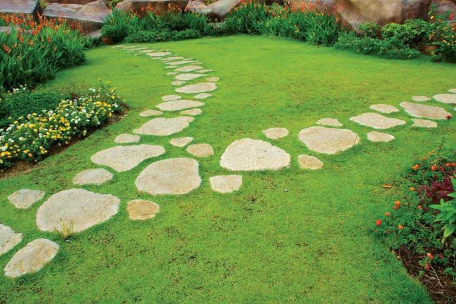 Садовые дорожки на даче