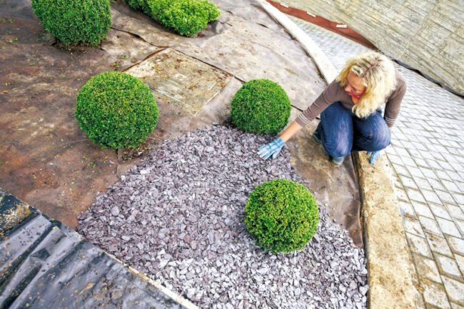 средство от сорняков