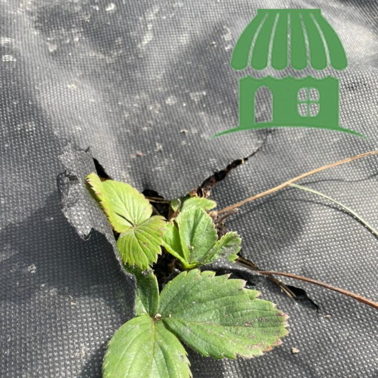 Геотекстиль иглопробивной купить в СПБ по низкой цене